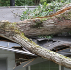 Storm and Wind Damage