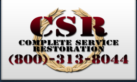 CSR Logo